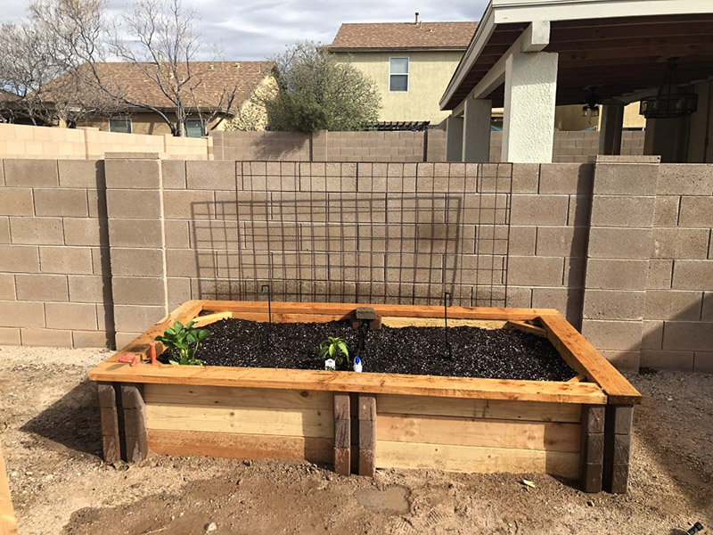 Grow your own food planter bed