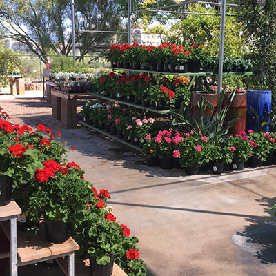 Garden Center Jobs in Tucson